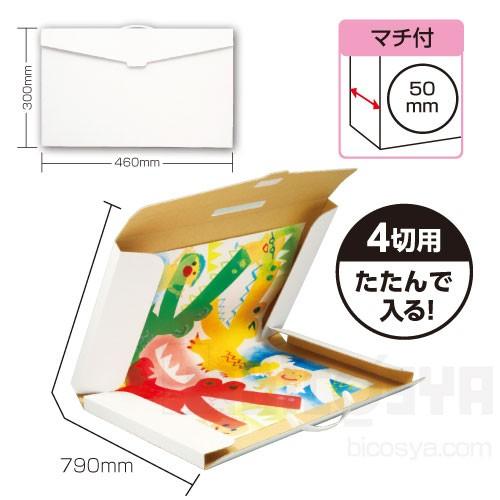 新コンパクト作品収納ケース あすつく対応 メール便不可 Surajinformatics Com