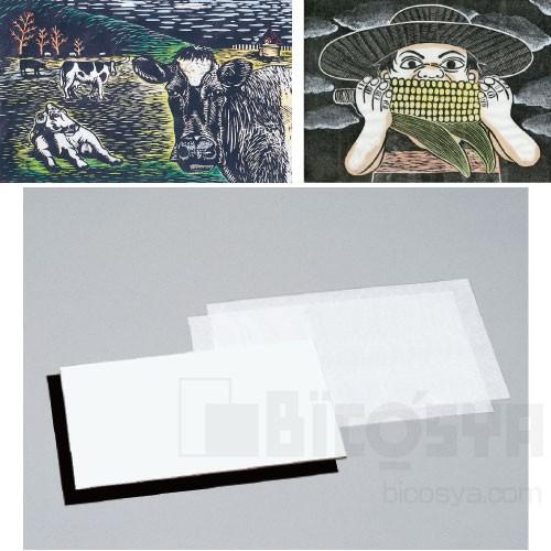 簡単多色版画 大 Sp板 ホワイト あすつく対応 メール便不可 241 文具教材専門店 通販 Yahoo ショッピング