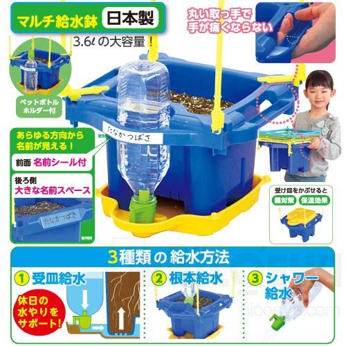 ステップあさがお Eセット 朝顔の種つき メール便不可 2936 文具教材専門店 通販 Yahoo ショッピング