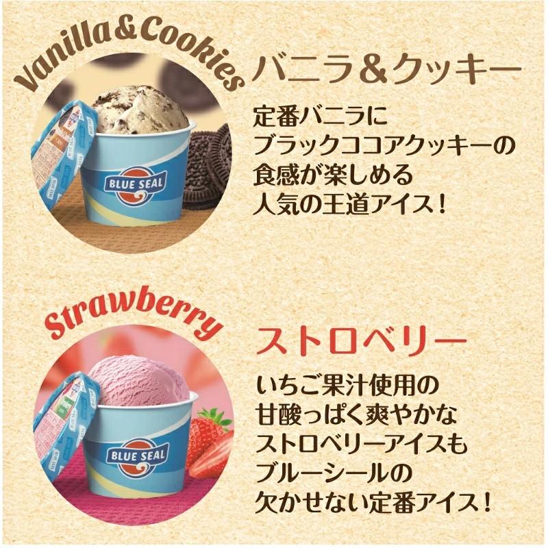 7272次回発送5/20様　アイスブルー1 7272次回発送5/20様 アイスブルー1 送料無料】ブルーシールアイス ギフト24
