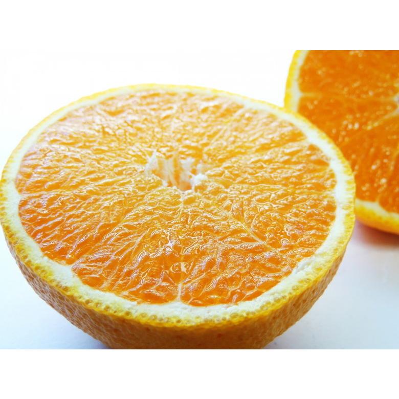 熊本県産 デコポン 不知火 訳アリ特価 家庭用20kg(送料無料) 激安☆熊本県産◎訳あり不知火、デコポン家庭用20kg(送料無料