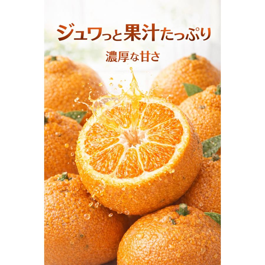 送料無料】熊本県産 不知火 約5kg 訳あり 家庭用 デコポン 同品種
