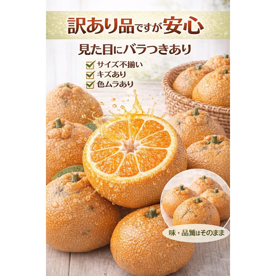 不知火 訳あり 5kg 送料無料 熊本県産 デコポン 同品種 みかん 柑橘