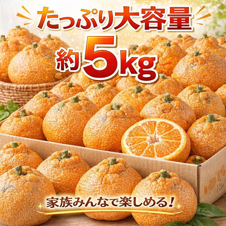 不知火 訳あり 5kg 送料無料 熊本県産 デコポン 同品種 みかん 柑橘