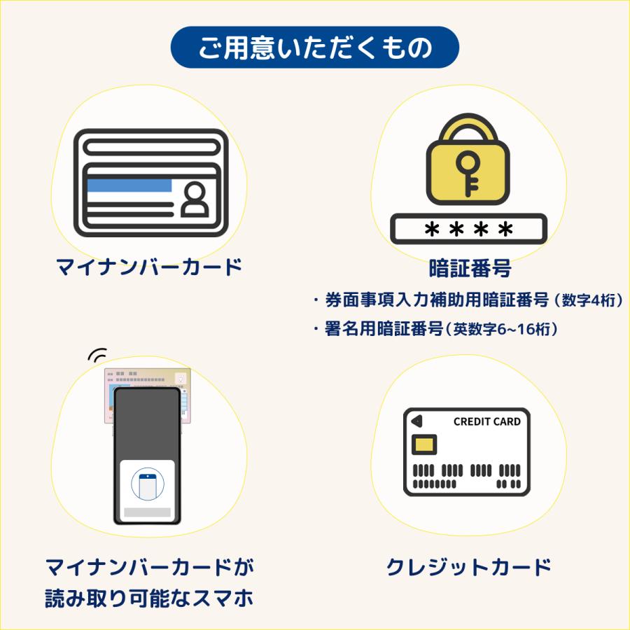日本通信 日本通信SIMスターターパック NT-ST2-P（ドコモネットワーク