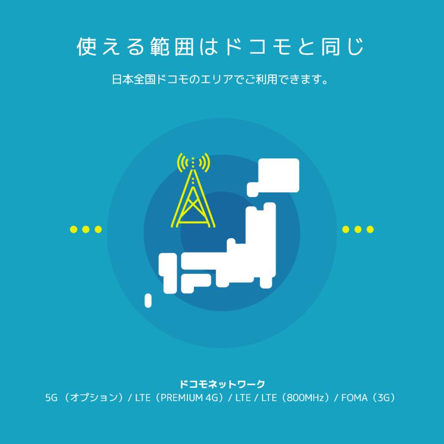 日本通信　日本通信SIMスターターパック　NT-ST2-P（ドコモネットワーク / SIMカードは申込後に配送） |  | 10