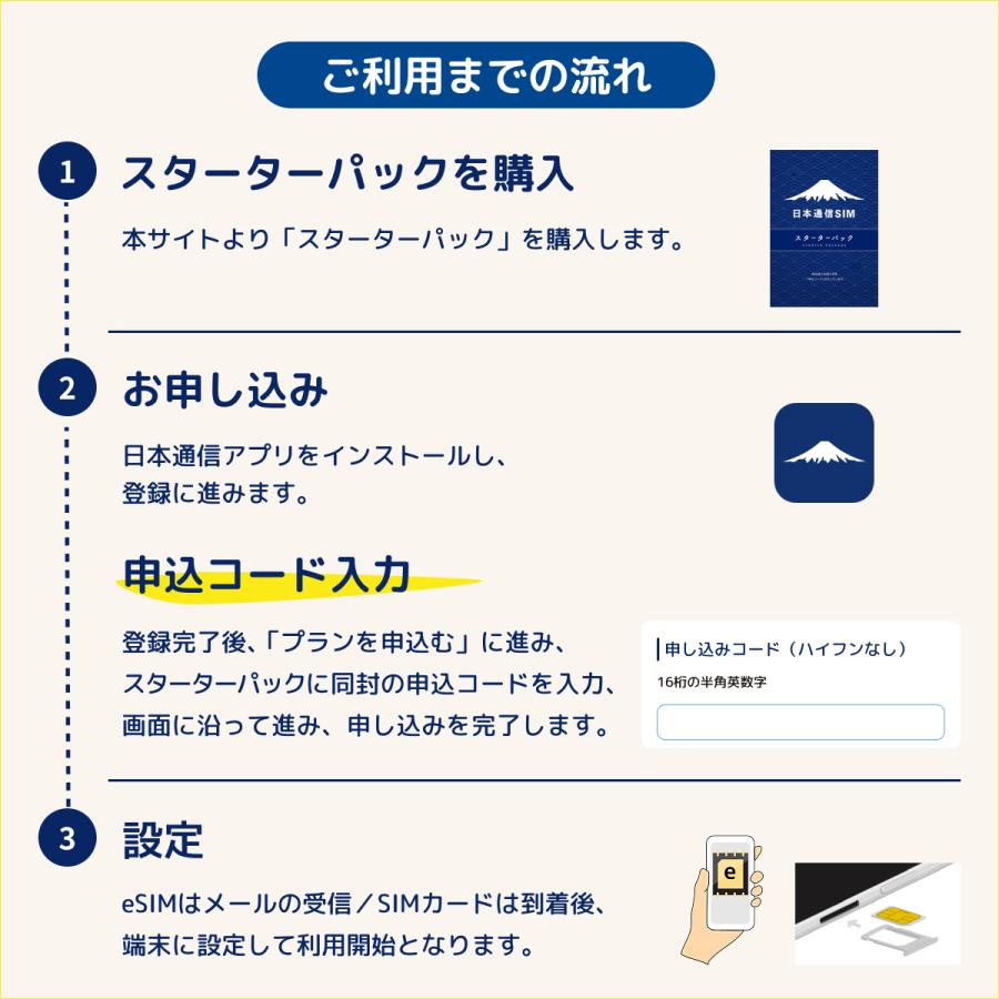 日本通信 日本通信SIMスターターパック NT-ST2-P（ドコモネットワーク