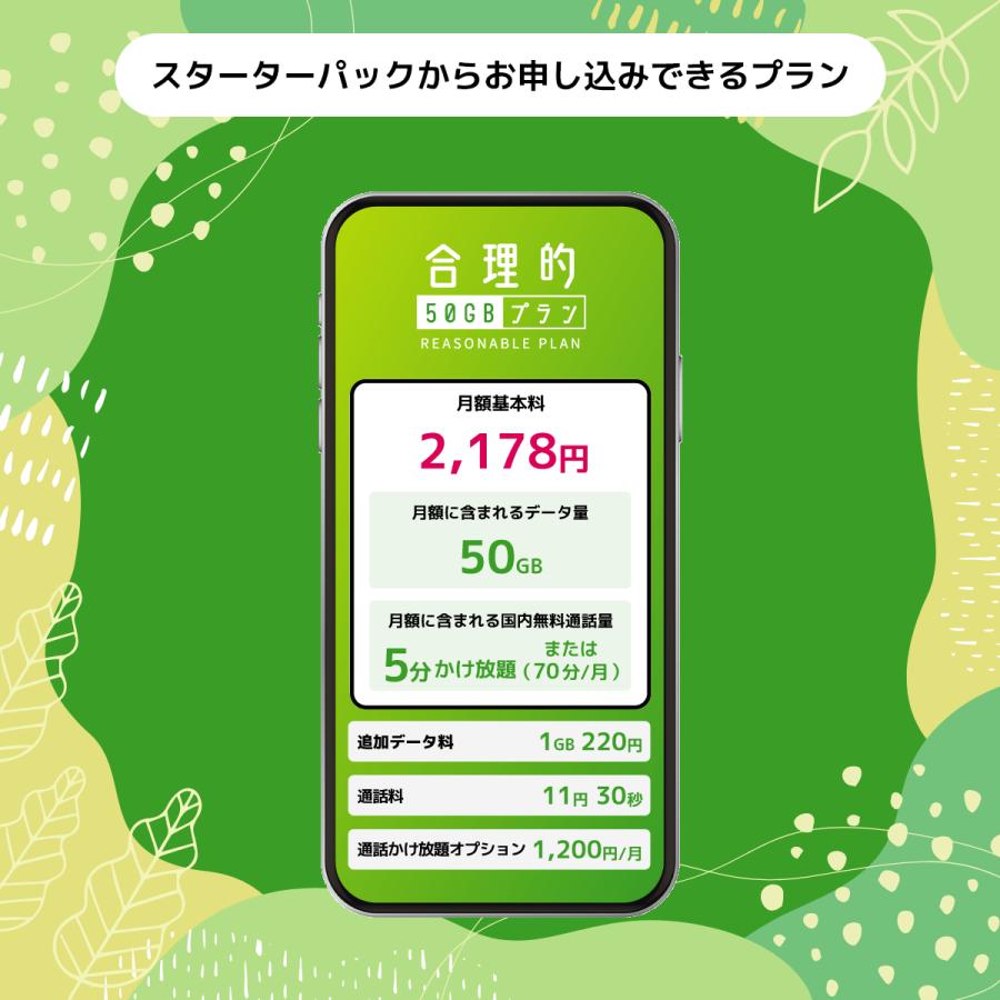 日本通信 日本通信SIMスターターパック NT-ST2-P（ドコモ