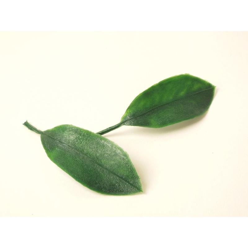 メール便対応品 華鋲用 シキミの葉 ハードタイプ 1対 2個入り :kebyo-shikiminoha:お仏壇の野田 - 通販 - Yahoo!ショッピング メール便対応品 華鋲用 シキミの葉 ハードタイプ 1対 2個入り :kebyo-shikiminoha:お仏壇の野田 - 通販 - Yahoo!ショッピング