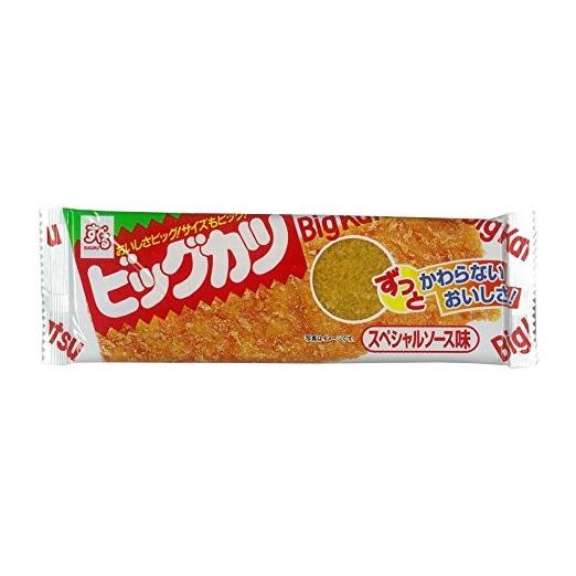 18％OFF 大切な人へのギフト探し ネコポス送料無料 すぐる ビッグカツ スペシャルソース味 5個 ペイペイ消化 italytravelpapers.com italytravelpapers.com