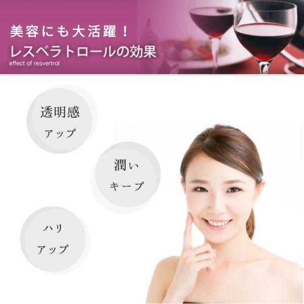 ハイブリッドリボーン/iGS4000 レスベラ (30カプセル ハイブリッドリボーン/iGS4000 レスベラ (30カプセル