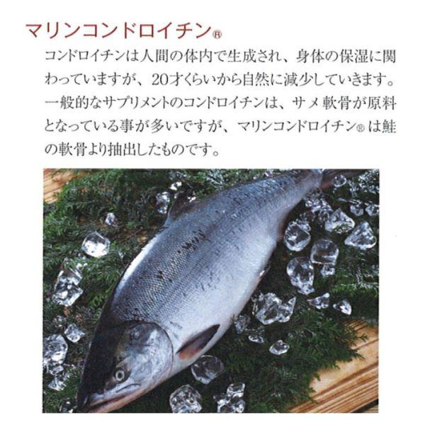 プレミアムプラセンタ 40日分✖️３袋 120日分 フジスコプレミアム 300000／分包（8g×30包入） 馬