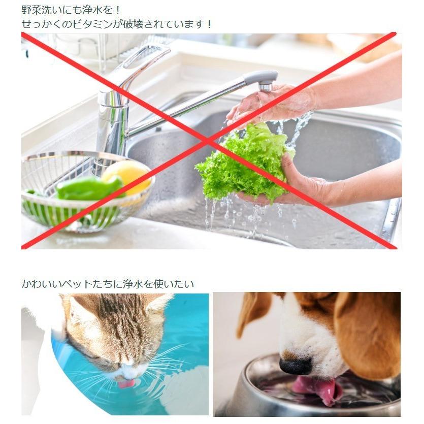 ろ過能力28,000リットル置型浄水器本体とカートリッジ1個付きセット(01