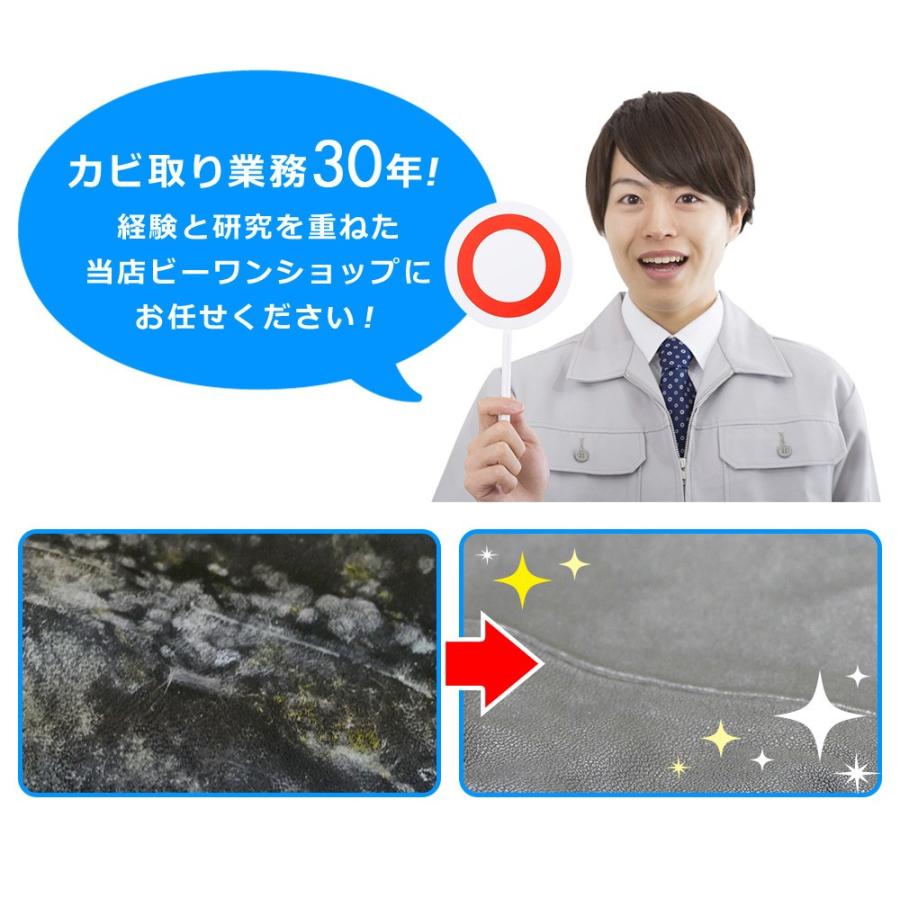 カビ取りの決定版 カビホワイト 衣類のカビ取り450ml ジャケット 革靴 カバン ブーツのカビ除去 防カビ ワイシャツの黄変も防止 03kabi Irui450 ビーワンショップ 通販 Yahoo ショッピング
