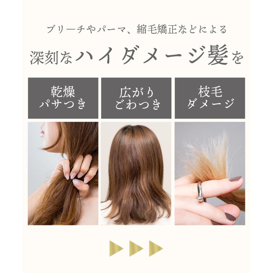 【新品】 プリュスオー リポアエマルジョン ヘアミルク 12個セット リポアエマルジョン / プリュスオー(トリートメントヘアミルク
