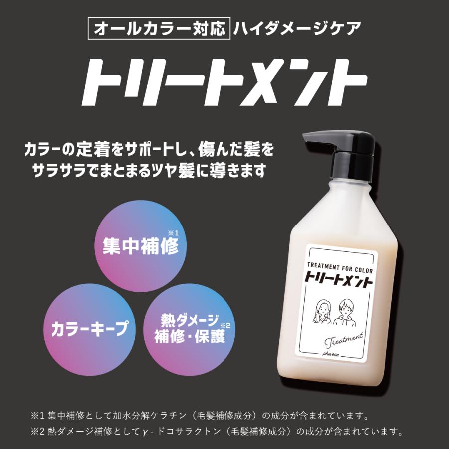 plus eau（プリュスオー） 単品 カラーシャンプー 280ml ポンプ