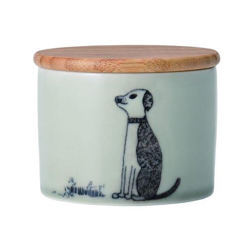 再値下げ【未使用品】 カーペンター GT-γ 120 10th アニバーサリー 未使用！カーペンター GT-γ 120 10th アニバーサリー クオリティ1 未