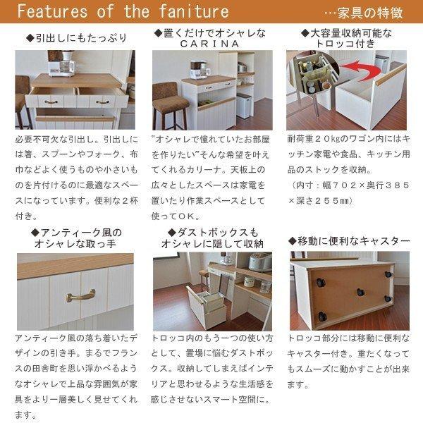 タカシン家具工業 在庫限り キッチンカウンター 収納 ゴミ箱 タカシン家具工業 在庫限り キッチンカウンター 収納 ゴミ箱