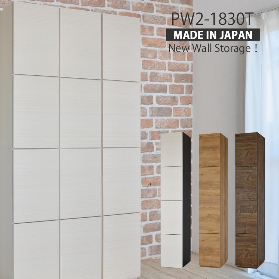 80 Off 本棚 書棚 Pw2 10t シンプルデザインがスタイリッシュな30 5幅ドアタイプの壁面収納 扉付き おしゃれ 家具 日本製 Sarozambia Com
