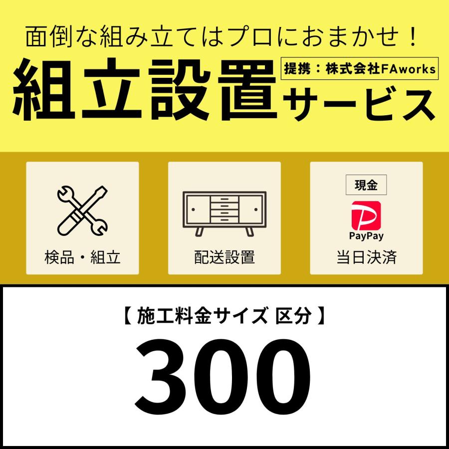 タカシン家具工業 壁面収納 キャビネット 本棚 リビング収納 シェルフ