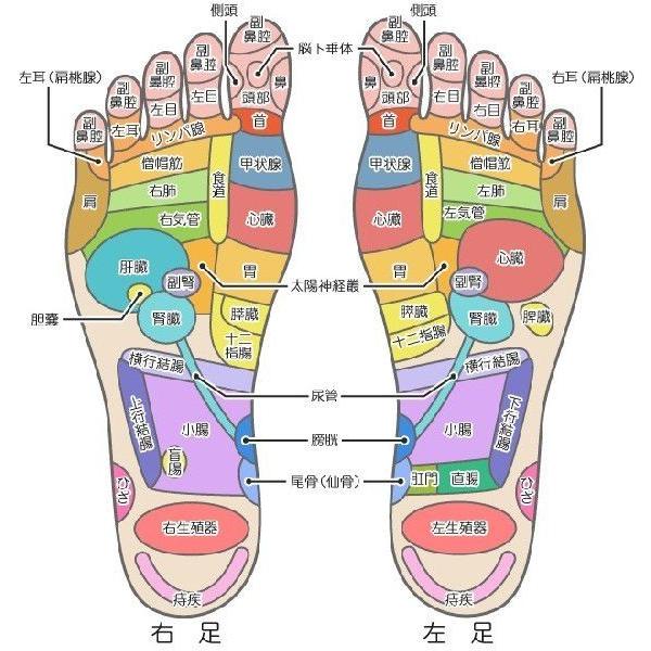 通信講座 リフレクソロジー 足裏フット 膝下ドレナージュ Tk Reffhfoot Business Support Shop 通販 Yahoo ショッピング