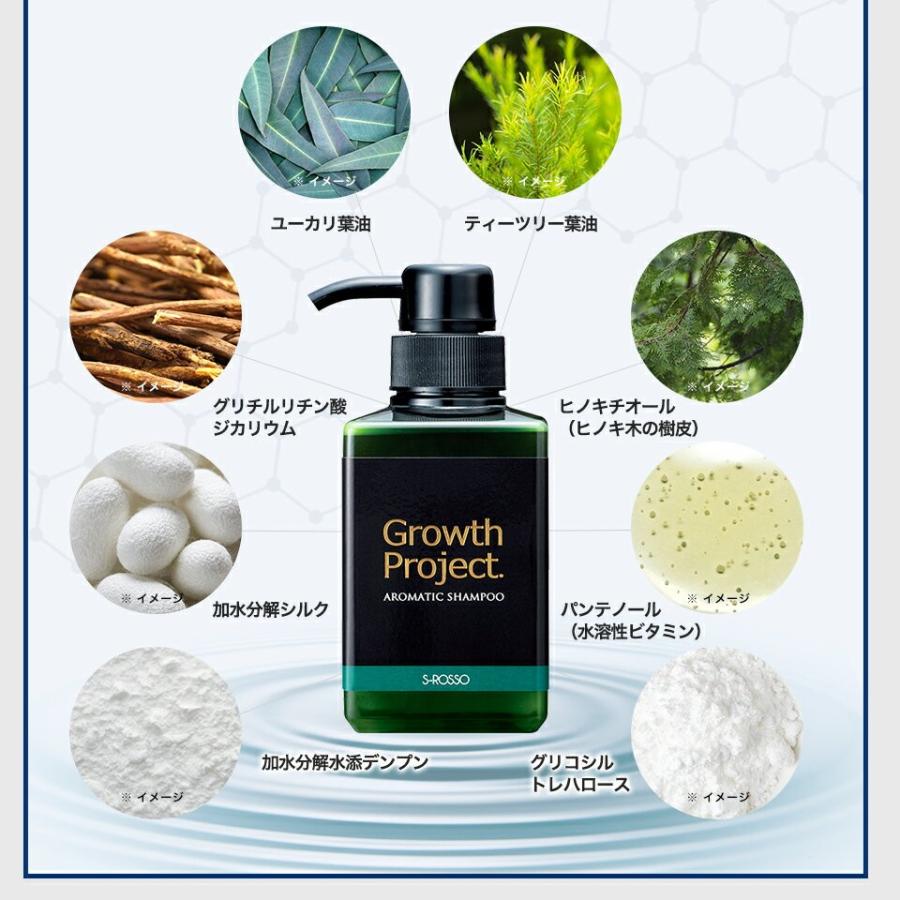 Growth Project グロースプロジェクト アロマシャンプー 300ml 3本セット 男性用 頭皮 スカルプシャンプー 毛髪大作戦 ふけ かゆみ エスロッソ Gnn006 ビーシャイン 通販 Yahoo ショッピング