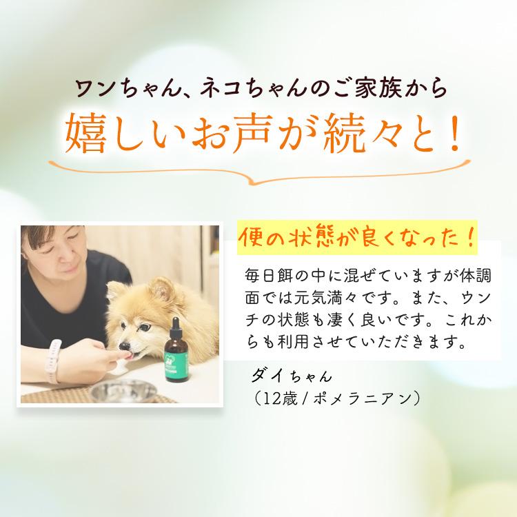 PET CARES ペットケアーズ Amazon.co.jp: PETCARES （ペットケアーズ） ペットの口腔