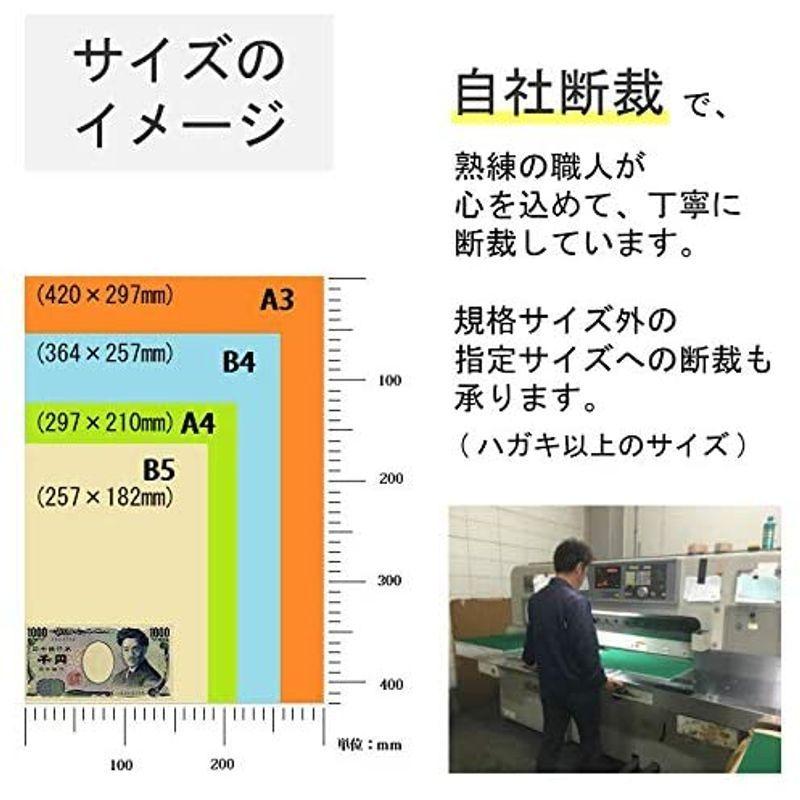 売り切り御免 色上質紙 大王製紙 中厚口 カラーペーパー クリーム 選べる25色 1000枚 A3 その他ノート 紙製品 Florestasa Com Br
