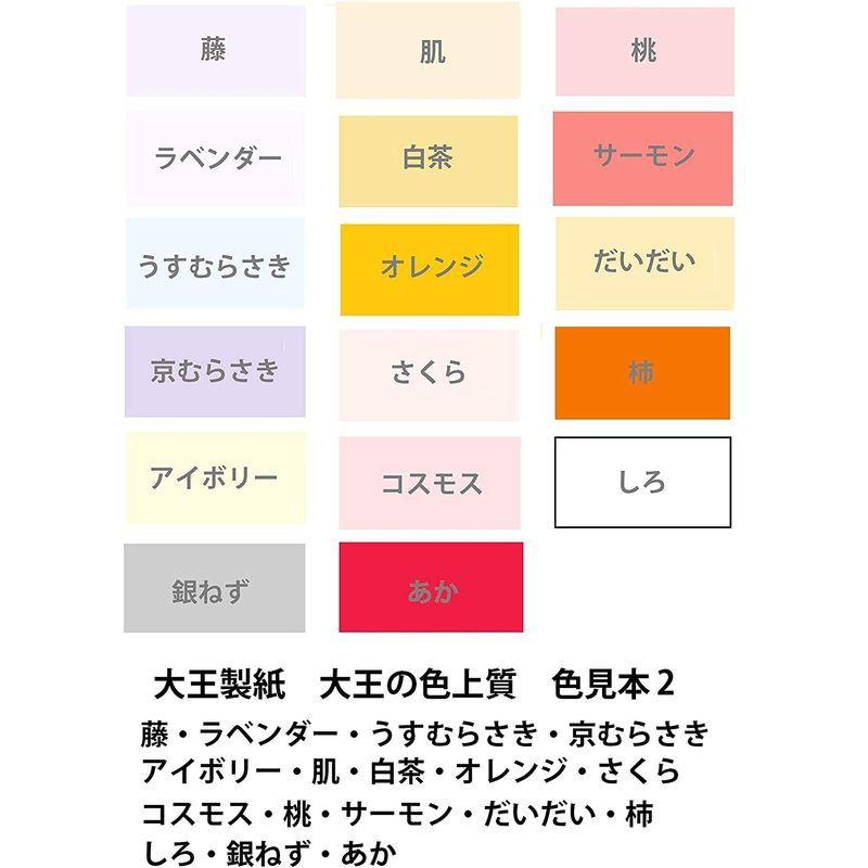 売り切り御免 色上質紙 大王製紙 中厚口 カラーペーパー クリーム 選べる25色 1000枚 A3 その他ノート 紙製品 Florestasa Com Br
