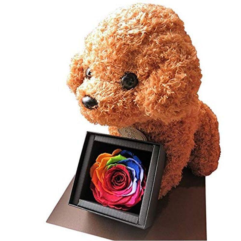 値段 通販 トイプードル ぬいぐるみ入り 花束 アレンジメント ダイヤモンド 花 ダイヤモンド レインボーローズ付き