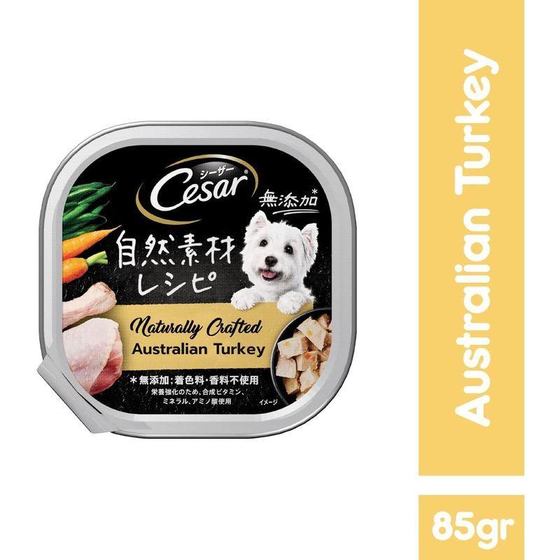 シーザー ドッグフード 自然素材レシピ ターキー にんじん いんげん 85g 28個 まとめ買い Weddingsatwork Com