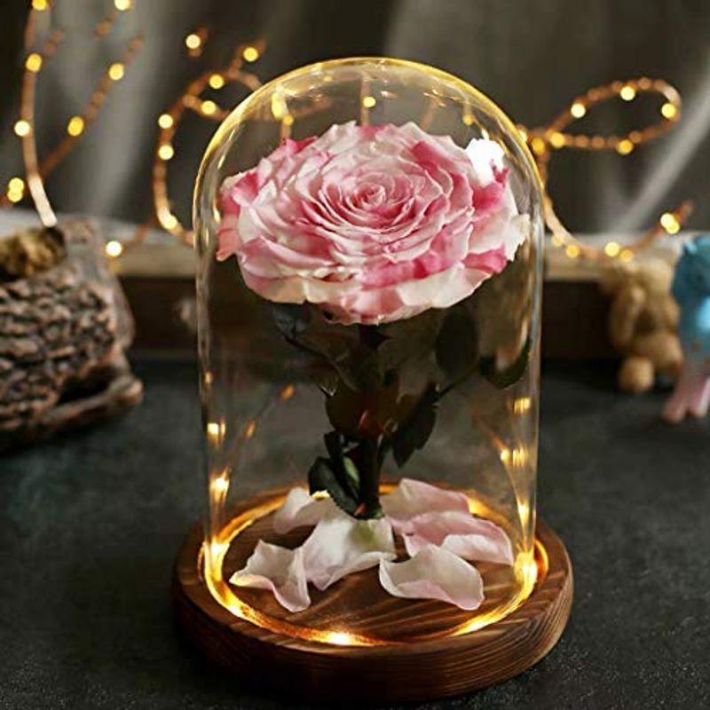 売り出し特注品 プリザーブドフラワー ギフト 母の日 ガラスドーム ケース入り 薔薇 ドライフラワー バラ 枯れない花 フラワーギフト プレゼント ギフトボ ショッピング販促 Ssl Daikyogo Or Jp