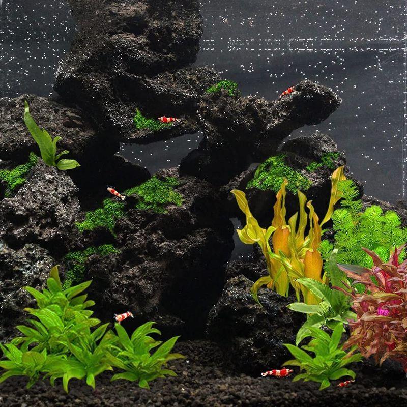 【美形】軽石　岩石　水槽　装飾 アクアリウム　NO4 日本庭園水槽 立ち上げ 「さぼり 石を割る！」 Japanese garden