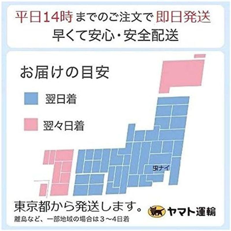 4本セット　ゴキブリ駆除　業務用　ベイトガン　P　プラスチック　軽量　簡単　退治　対策　ごきぶり