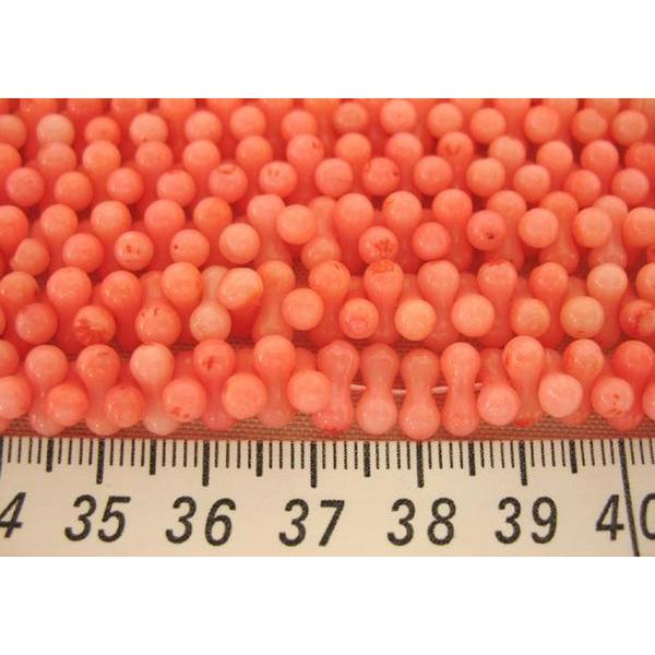 珊瑚 連販売 ピーナッツ型 約9×4mm 3000141☆ |  | 01