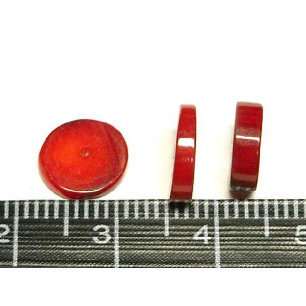 珊瑚 ボタン 連販売 約9×3mm 3000562☆ |  | 03