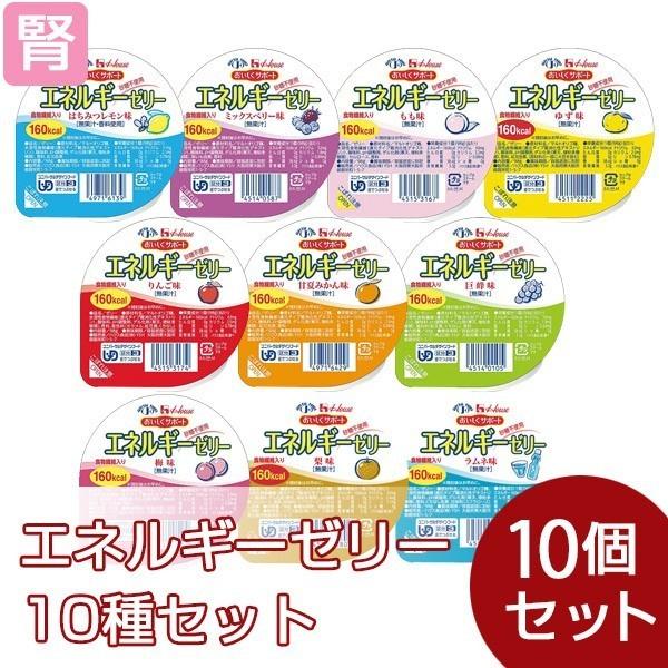 低たんぱく 腎臓病食 高カロリーゼリー エネルギーゼリー 10種セット(10種類各1個 各98g) ハウスギャバン（Yahoo!・ビースタイルYahoo!店）