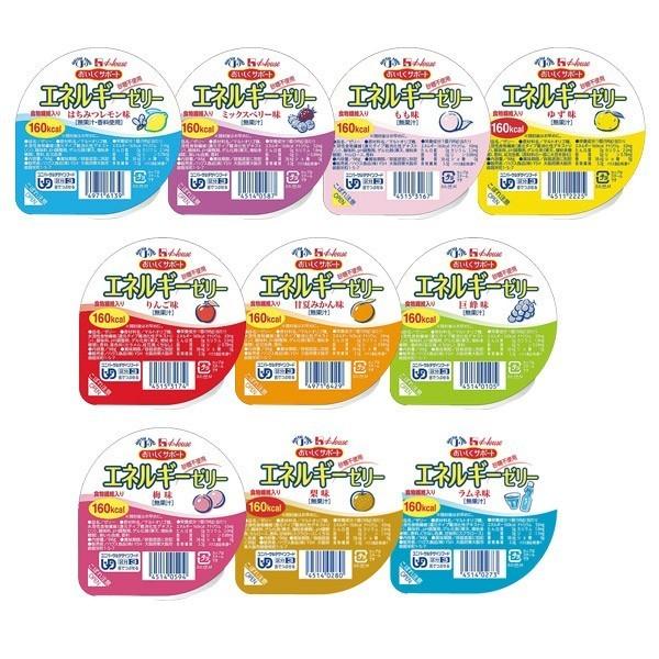 低たんぱく 腎臓病食 高カロリーゼリー エネルギーゼリー 10種セット