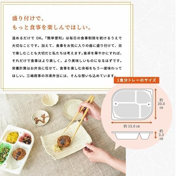 【冷凍】みしまの御膳みやびお肉セット（6食）【低カロリー】【減塩】 | みしまの御膳みやび | 05