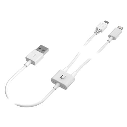 Lumina 美顔器 ホワイト USB充電ケーブル付き Lumina 美顔器 ホワイト USB充電ケーブル付き