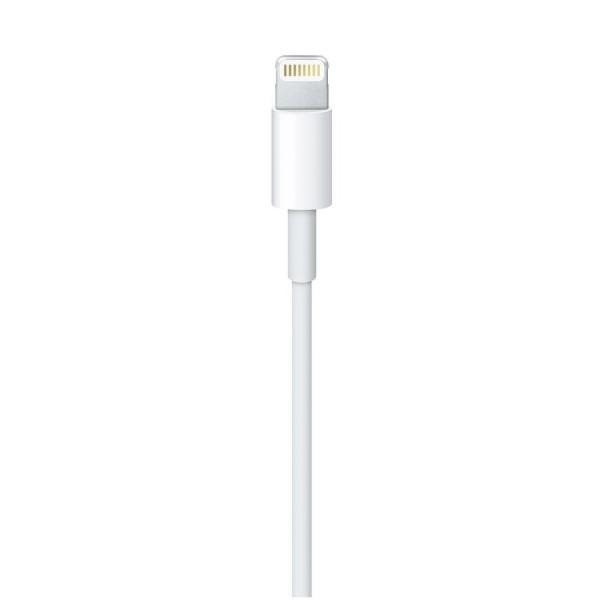 Lightning - USBケーブル 2m Apple MD819AM-A｜b-surprisep｜03