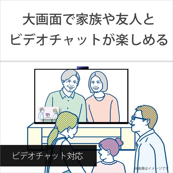 BRAVIA カメラ・マイクユニット CAM SONY CMU-BC1 : B-サプライズ
