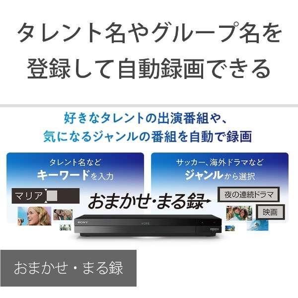 SONY ブルーレイレコーダー 2TB 3番組同時録画 BS CS 4K SONY ブルーレイレコーダー 2TB 3番組同時録画 BS CS 4K