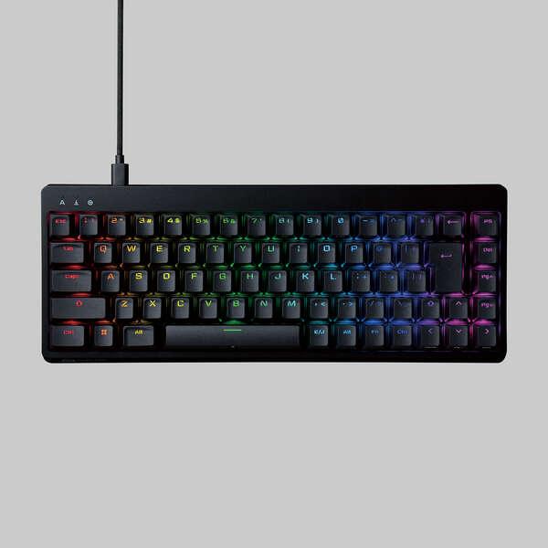 ELECOM（エレコム） ゲーミングキーボード V custom RGB 青軸