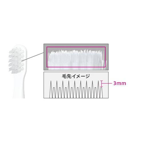 Panasonic（パナソニック） コンビニ受取可 電動歯ブラシ ポケット