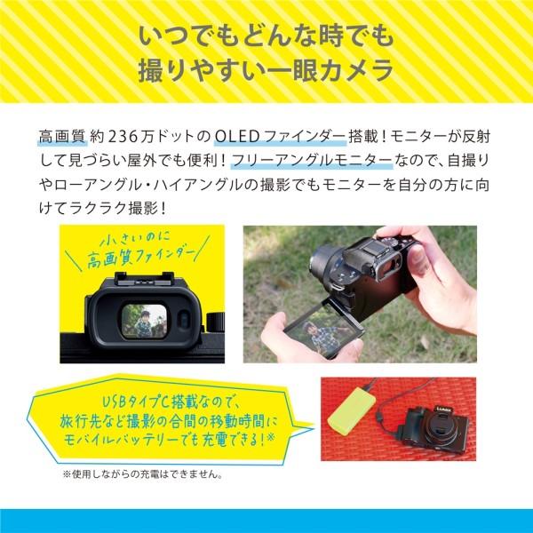 Panasonic（パナソニック） 一眼カメラ ミラーレス LUMIX G100D W