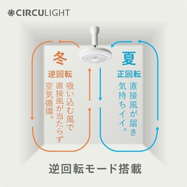 DOSHISHA（ドウシシャ） CIRCULIGHT(サーキュライト) メガシリーズ 引