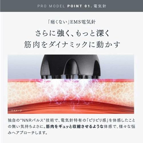 MYTREX（マイトレックス） MYTREX MT-EHP22B EMS HEAD SPA PRO