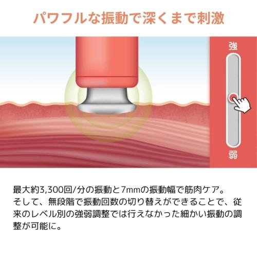 エクサガン ラグゼ EXAGUN LUXE ミスティックパープル ドクターエア REG-12 PL | ドクターエア | 03