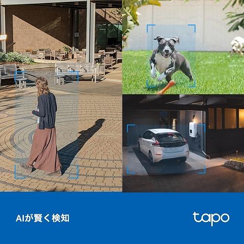 TP-Link 屋外パンチルトセキュリティWi-Fiカメラ Tapo C520WS Wi-Fi